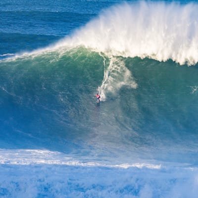 A surfer rides a massive wave at Nazaré.