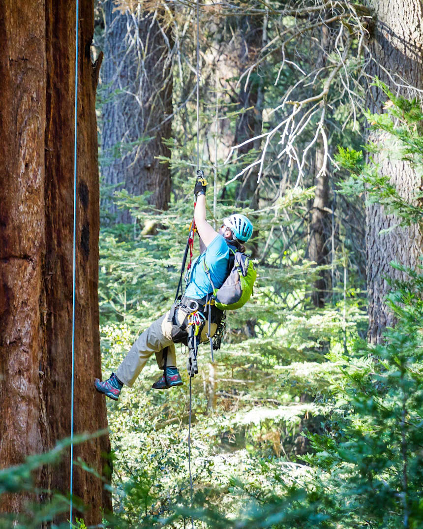 tree climbing rope