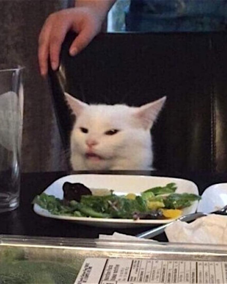 Los Mejores Memes De Videojuegos Para El Dia Del Gato