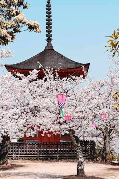 Ikigai could change your life