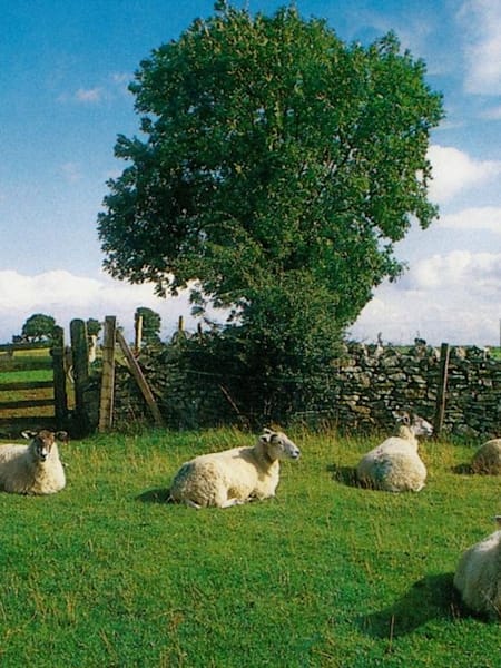 The CD・DVD・ブルーレイ CHILL OUT KLF AMBIENT HOUSE CLASSICS