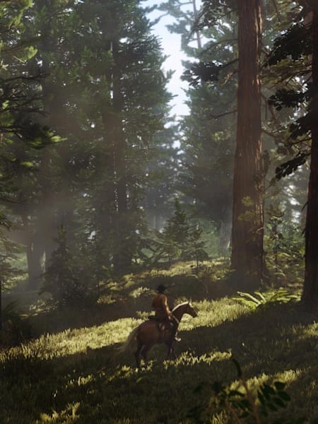 A screenshot from Red Dead Redemption 2