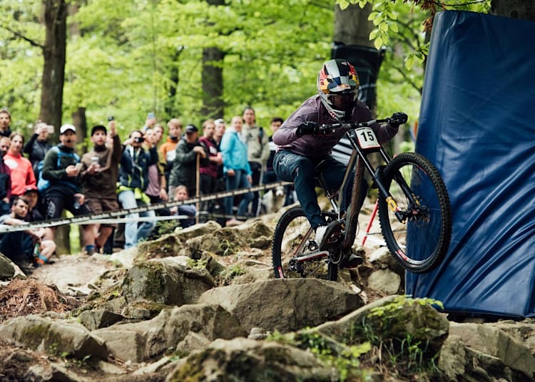 red bull dh