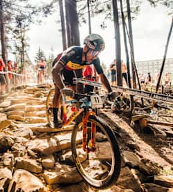 Red bull online short track mtb