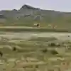 The action gets going at the 2017 Silk Way Rally