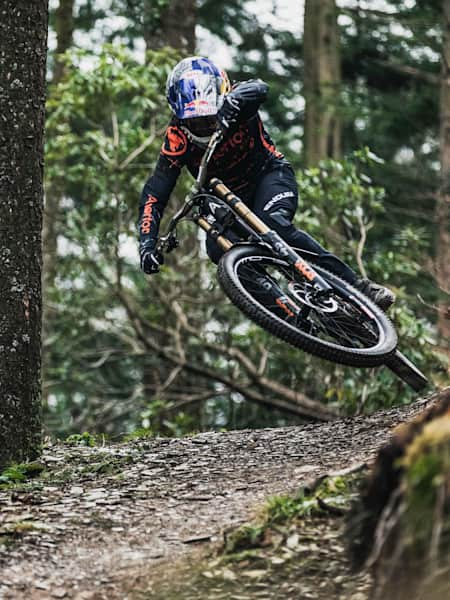 Mountain bike 2025 brands 2019