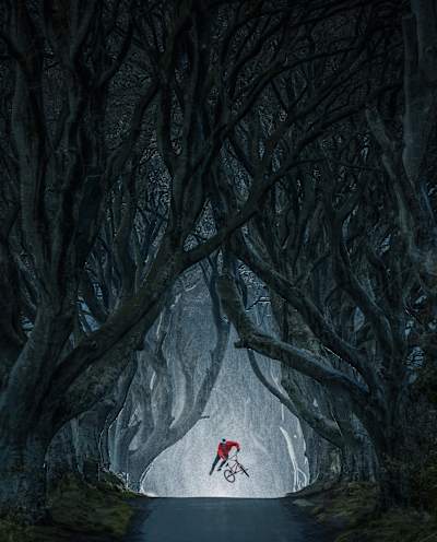 Lorenz Holder, Germany, for his shot of Senad Grosic flying in the magical Game of Thrones location, The Dark Hedges, Northern Ireland.