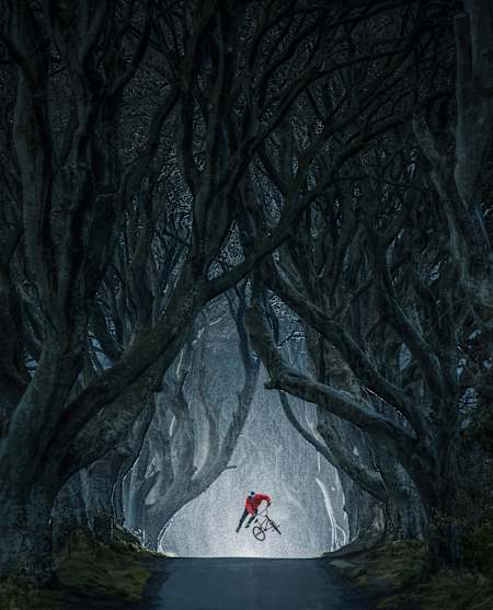 Lorenz Holder, Germany, for his shot of Senad Grosic flying in the magical Game of Thrones location, The Dark Hedges, Northern Ireland.