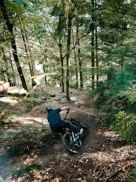 Les vélos VTT de trail tout-suspendu comme le Stumpjumper de Specialized permettent de grimper correctement tout en profitant d'un comportement excellent en descente.