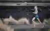 Lucy Charles-Barclay training before the Ironman World Championship in Hawaii, 2019