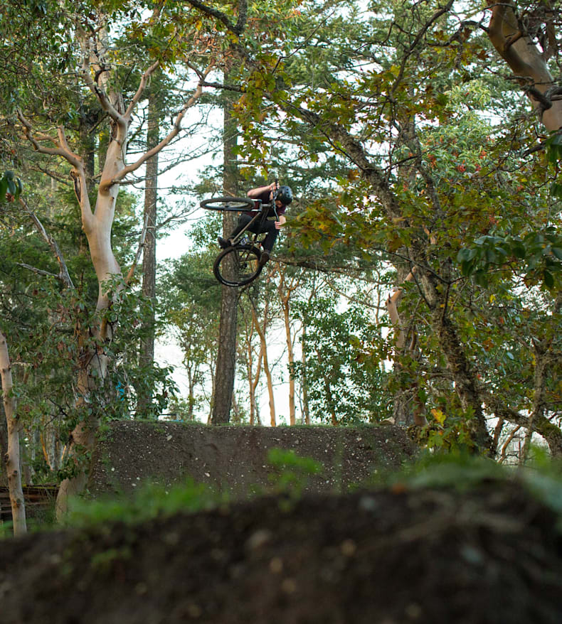 backyard bmx jumps