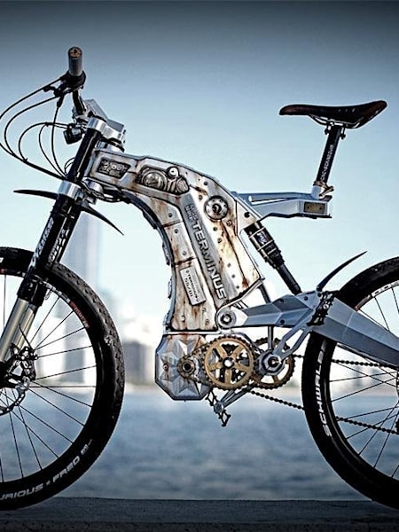 M55 eBike