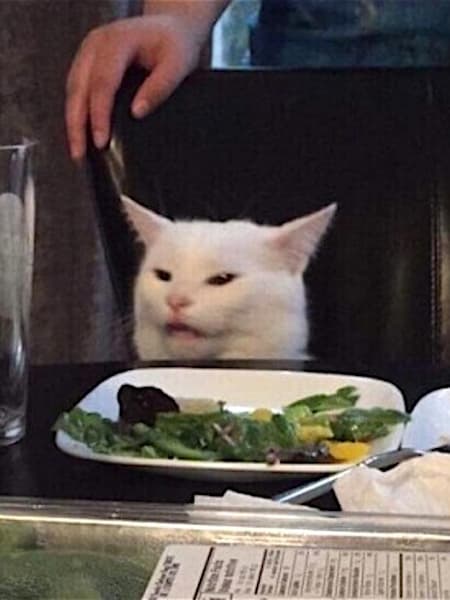 Gato espárragos