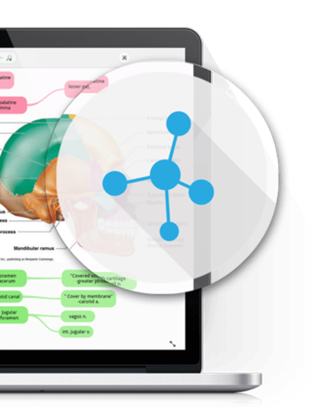 Visual cues could be key to memorising data