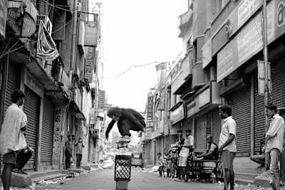 Nassim Guammaz tente un crate ollie en Inde