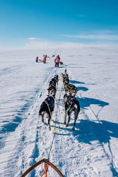 If sledding 270km across arctic terrain sounds like your thing...
