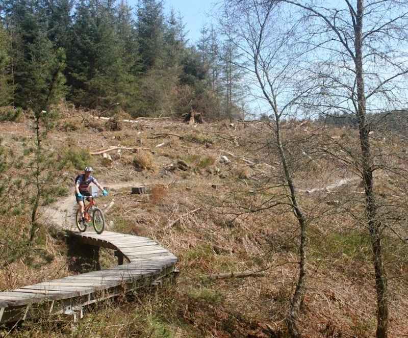 Swinley forest mountain biking best sale