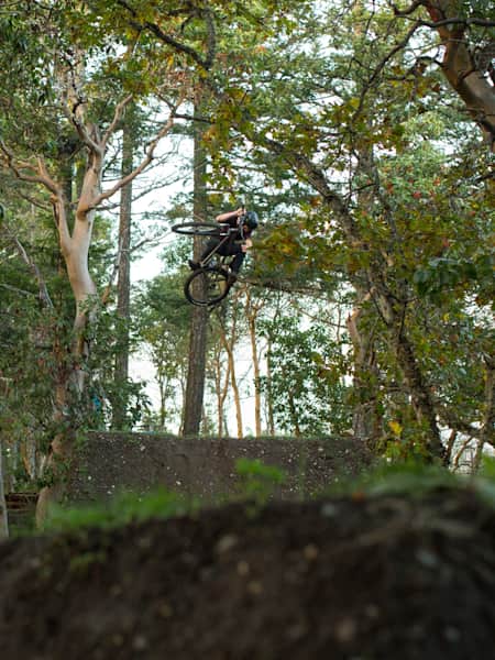 Bmx dirt store jumps backyard