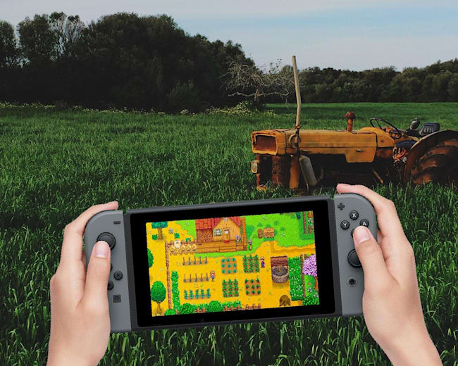 Stardew Valley Guide The Ultimate Nintendo Switch Tips