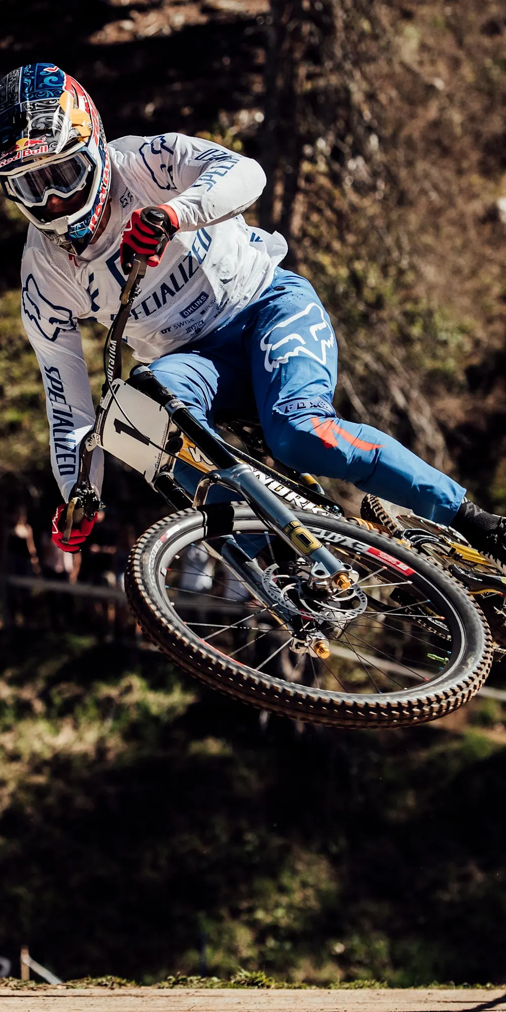 Loic bruni cheap mtb
