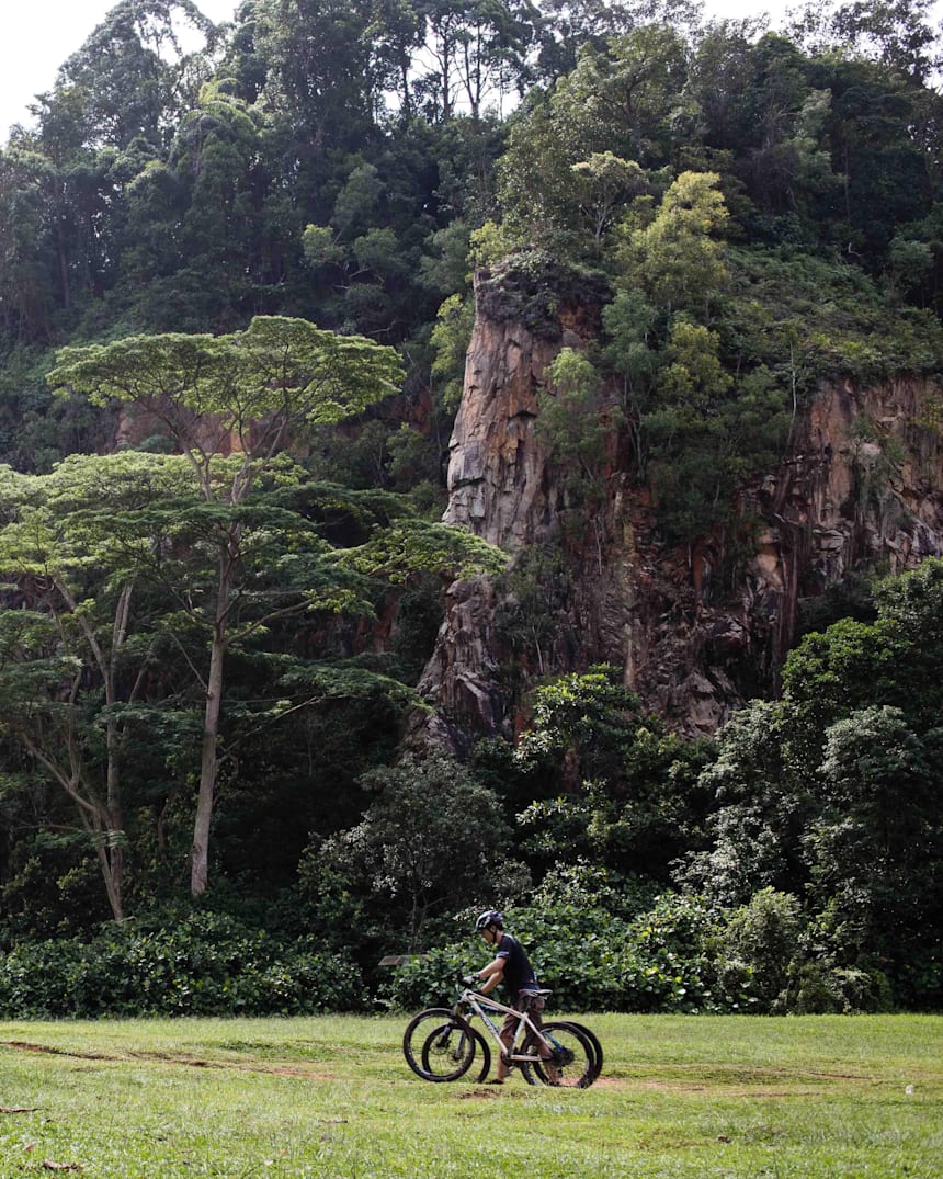 bukit timah mountain bike trail