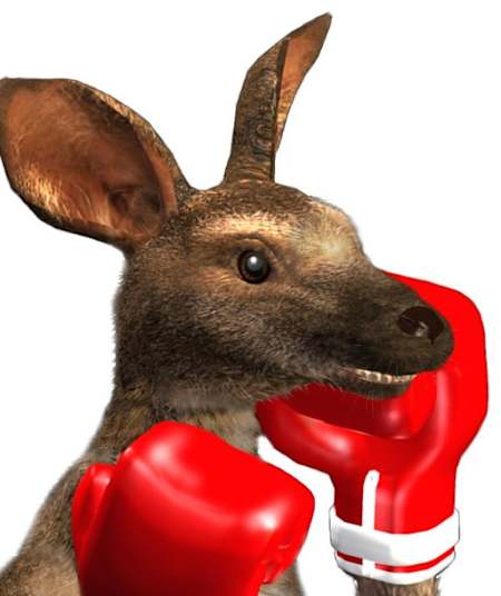 Ein Känguru mit roten Boxhandschuhen