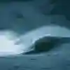 Nic Von Rupp en buena posición