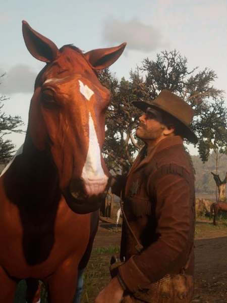 A horse in Red Dead Redemption 2