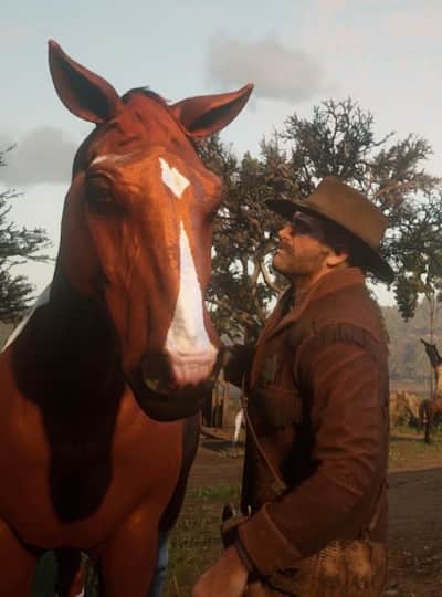 notifikation Stræde ryste Red Dead Redemption 2 horses: 10 tips for PC & consoles