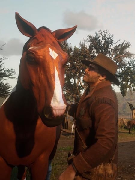 A horse in Red Dead Redemption 2
