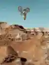 Jaxson Riddle performs at Red Bull Rampage in Virgin, Utah USA on October 15, 2021.
