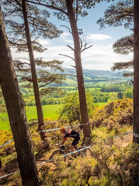 Best endurance mountain bike hotsell