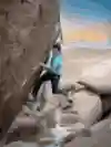 Alex Johnson climbs The Swarm in California, USA.