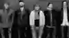 Frightened Rabbit