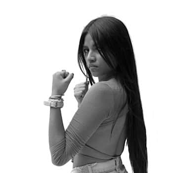 Perfil Sumeria