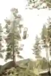 Lukas Skiöld performs at the Swedish slopestyle event Falun Jam.