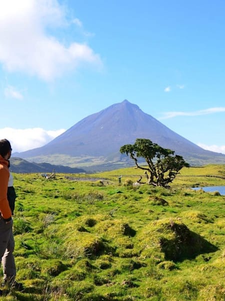 A man stands admiring Pico Mountain on Pico Island in the Azores.