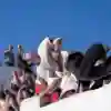 Dimitris Kyrsanidis - Backflip 720