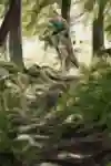 MTB Rider Whips on a trail in Carinthia, Austria