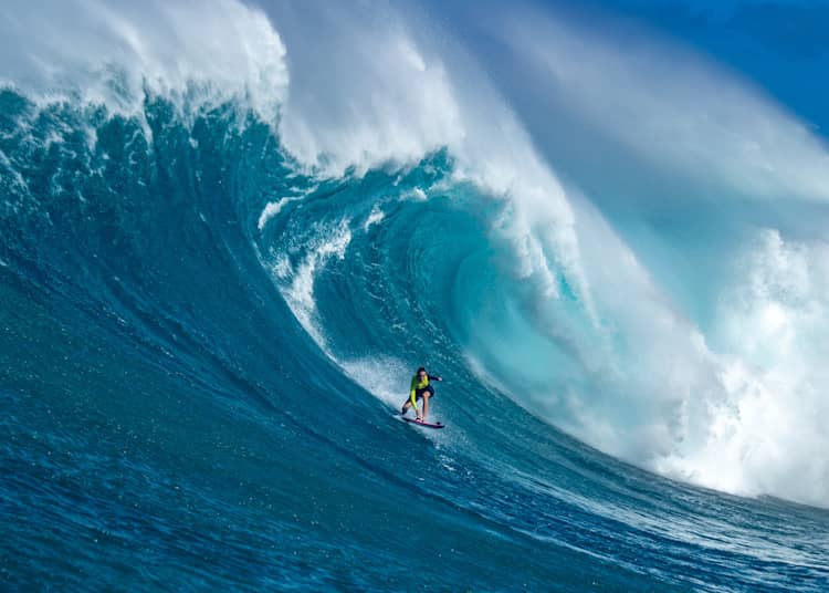Nelscott reef hot sale big wave classic