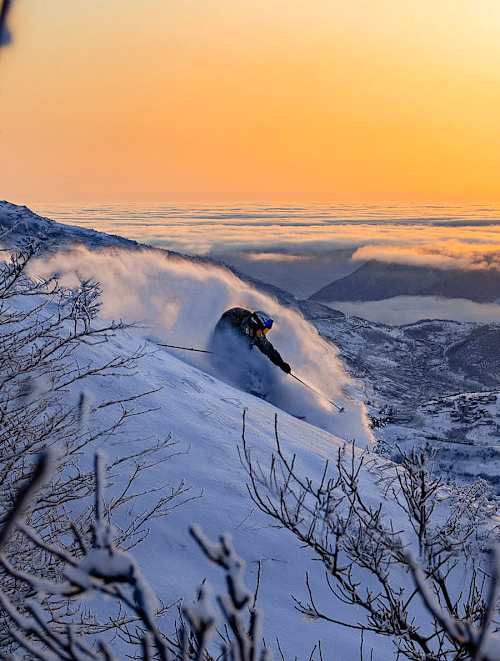 Snowmads - A Foreign Native Hero Art