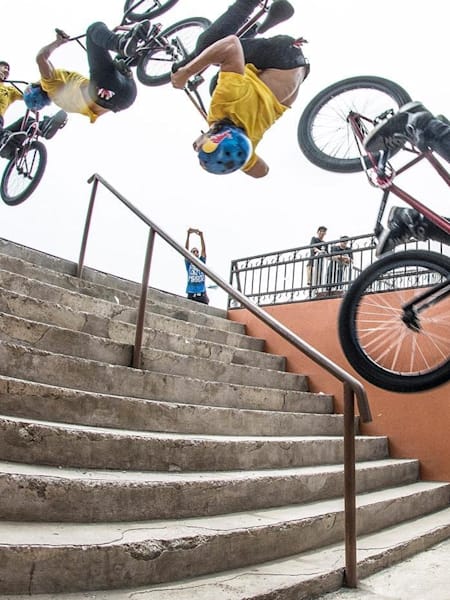 TNB 「ティーエヌビー」 TRICKSTER 2016年モデル BMX