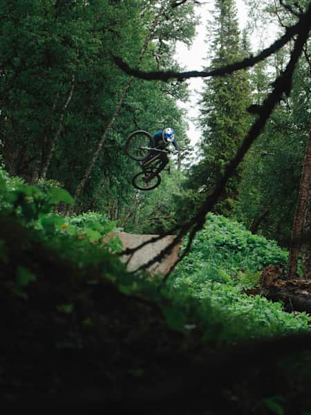 Downhill mountain bike park near me hotsell