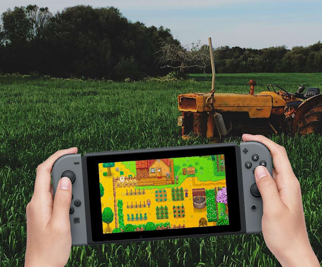 Stardew Valley Guide The Ultimate Nintendo Switch Tips