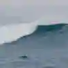 Justine Dupont à Belharra