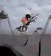 Прямо в чаше радара