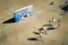 Final Nacional do Red Bull Quatro em Quadra