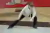 Unlike knees, ankles can come back to something approaching normal given time and care if you are unlucky enough to roll one