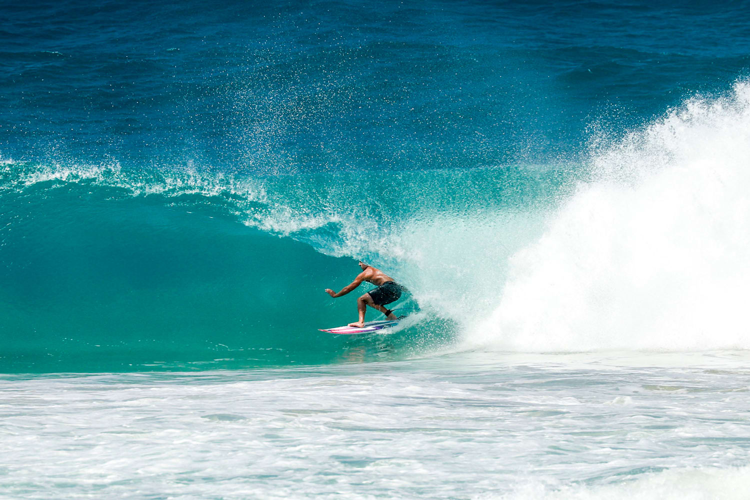 reef fanning carrot top