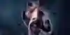 Kluczowa grafika dla Tekken 8